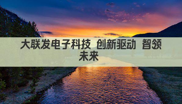 大联发电子科技 创新驱动 智领未来 