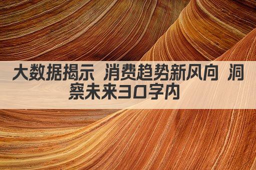 大数据揭示 消费趋势新风向 洞察未来30字内 