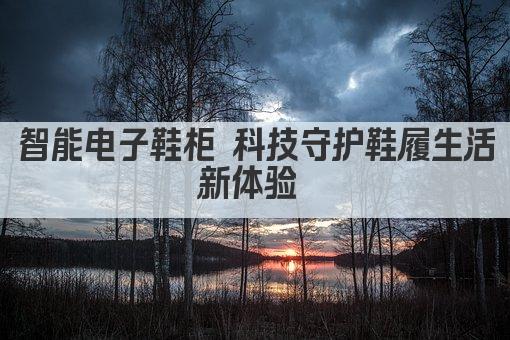 智能电子鞋柜 科技守护鞋履生活新体验 