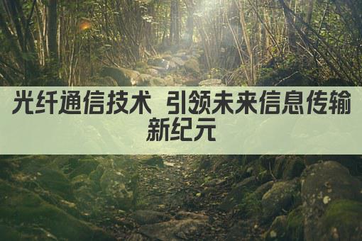 光纤通信技术引领未来 高效传输助力信息时代 