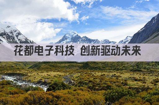 花都电子科技 创新引领未来 智能生活新篇章 