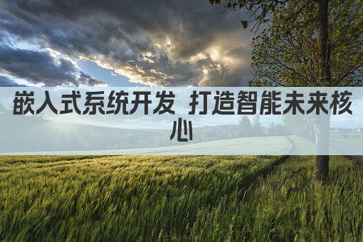 嵌入式系统开发 打造智能未来核心