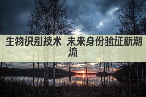 生物识别技术 未来身份验证新篇章