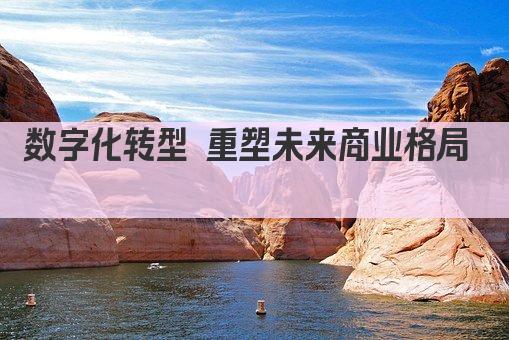 数字化转型 重塑未来商业格局  