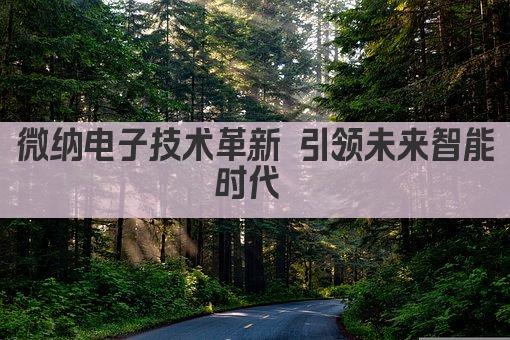 微纳电子技术革新 引领未来智能时代 