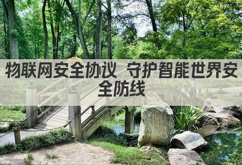 物联网安全协议 守护智能世界安全防线