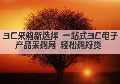 3C采购新选择 高效便捷的电子商城等你探索 