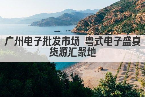 广州电子批发市场 粤式电子盛宴 货源汇聚地 