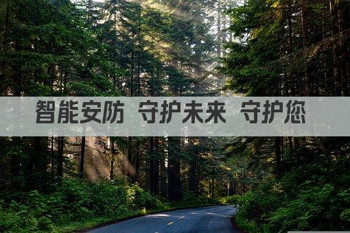 智能安防 守护未来 守护您 