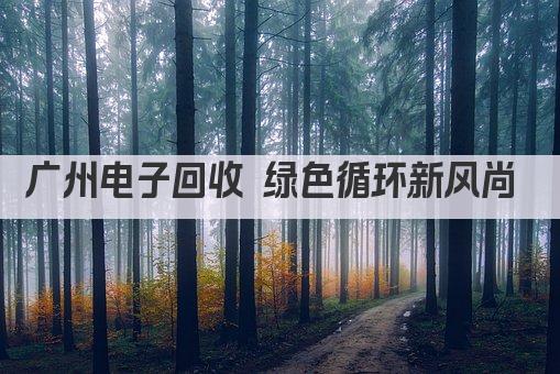 广州电子回收 绿色循环新风尚 