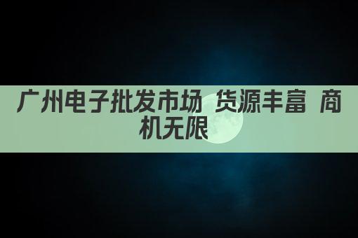 广州电子批发市场 货源丰富 商机无限 