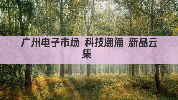 广州电子市场 前沿科技 尽在一站式购物天堂 