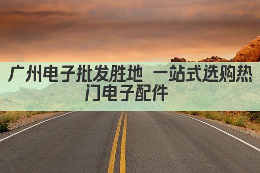 广州电子批发胜地 一站式选购热门电子配件 