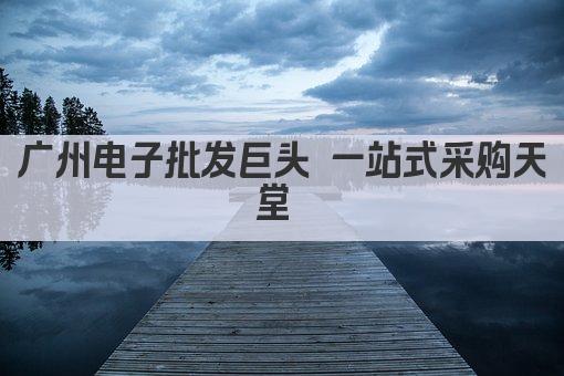 广州电子批发巨头 一站式采购天堂 