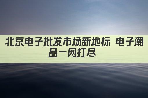 北京电子批发市场新地标 电子潮品一网打尽 