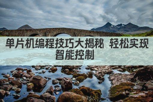 单片机编程技巧大揭秘 轻松实现智能控制 