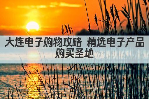 大连电子购物攻略 精选电子产品购买圣地