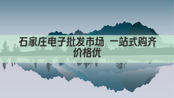 石家庄电子批发市场 一站式购齐 价格优 