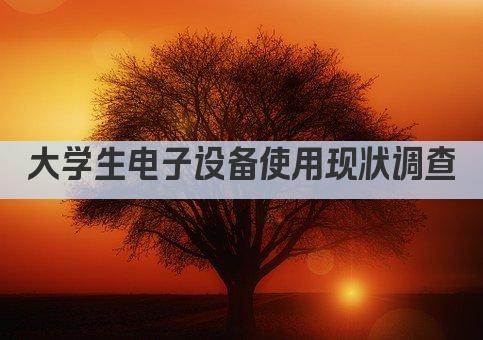 大学生电子设备使用现状调查