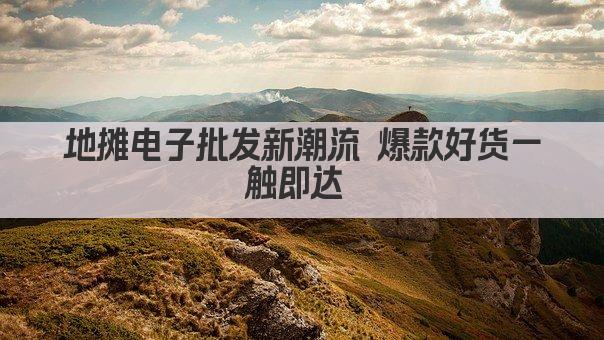 地摊电子批发新潮流 爆款好货一触即达 