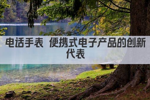 电话手表 便携式电子产品的创新代表