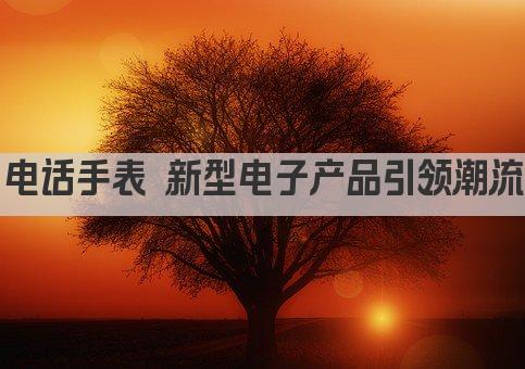 电话手表 新型电子产品引领潮流