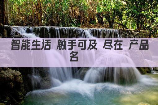 智能生活 触手可及 尽在 产品名  