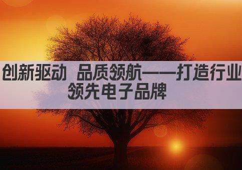 创新驱动 品质领航——打造行业领先电子品牌 