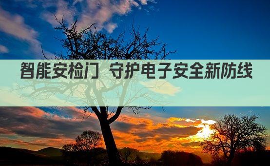 智能安检门 守护电子安全新防线 