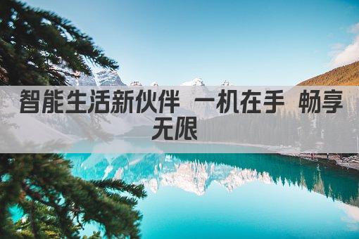 智能生活新伙伴 一机在手 畅享无限 
