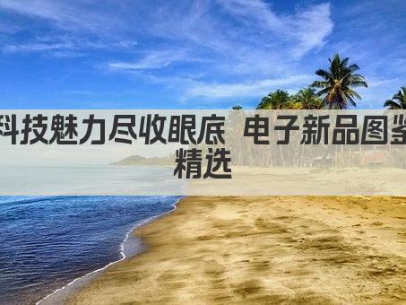 科技魅力尽收眼底 电子新品图鉴精选