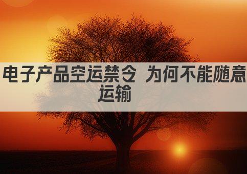 电子产品空运禁令 为何不能随意运输  