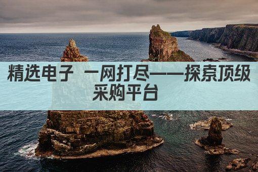 精选电子 一网打尽——探索顶级采购平台 