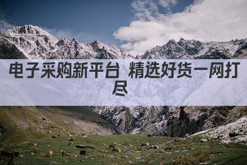 电子采购新平台 精选好货一网打尽 