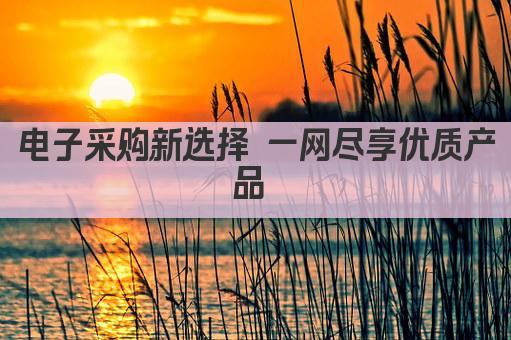 电子采购新选择 一网尽享优质产品 