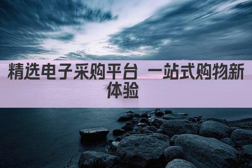 精选电子采购平台 一站式购物新体验 