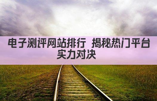 电子测评网站排行 揭秘热门平台实力对决 