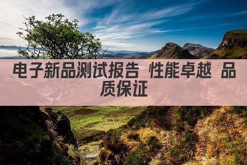 电子新品测试报告 性能卓越 品质保证