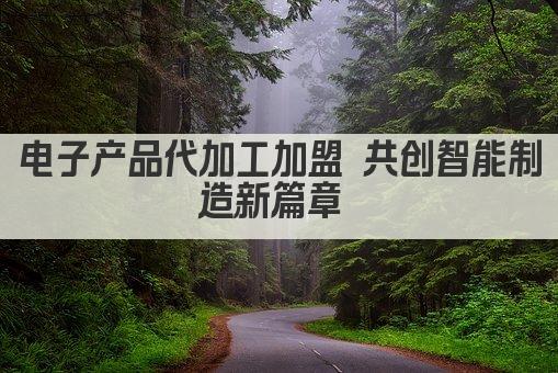 电子产品代加工加盟 共创智能制造新篇章 