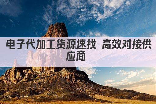 电子代加工货源速找 高效对接供应商 