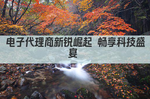 电子代理商新锐崛起 畅享科技盛宴 