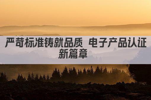 严守质量关 电子认证新标准引领未来 