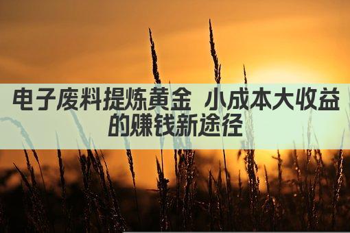 电子废料提炼黄金 小成本大收益的赚钱新途径