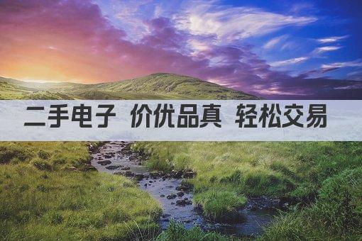 二手电子 价优品真 轻松交易 