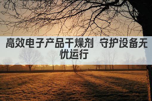 高效电子产品干燥剂 守护设备无忧运行 