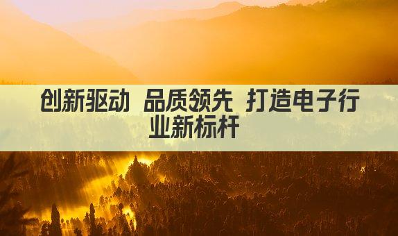 创新驱动 品质领先 打造电子行业新标杆 