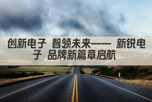 创新电子 智领未来—— 新锐电子 品牌新篇章启航 