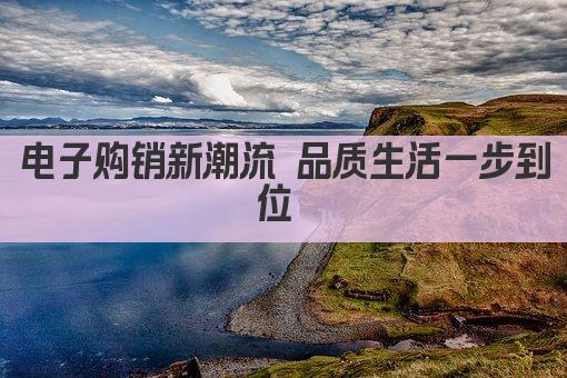 电子购销新潮流 品质生活一步到位 