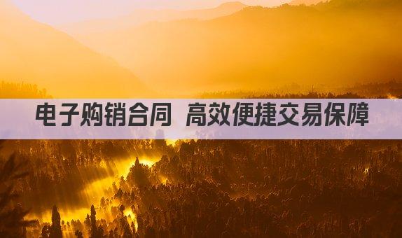 电子购销合同 高效便捷交易保障