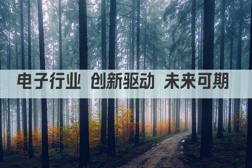 电子行业 创新驱动 未来可期 
